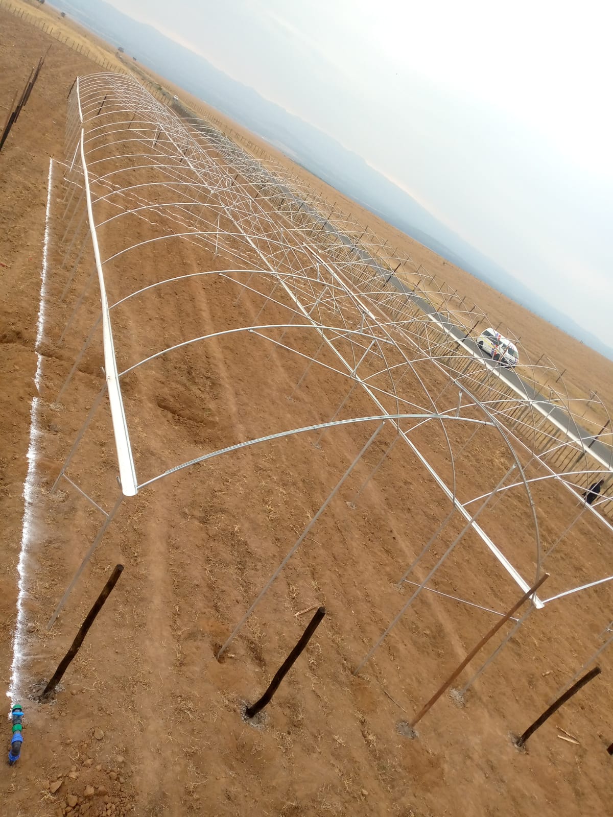 Greenhouse construction in progress